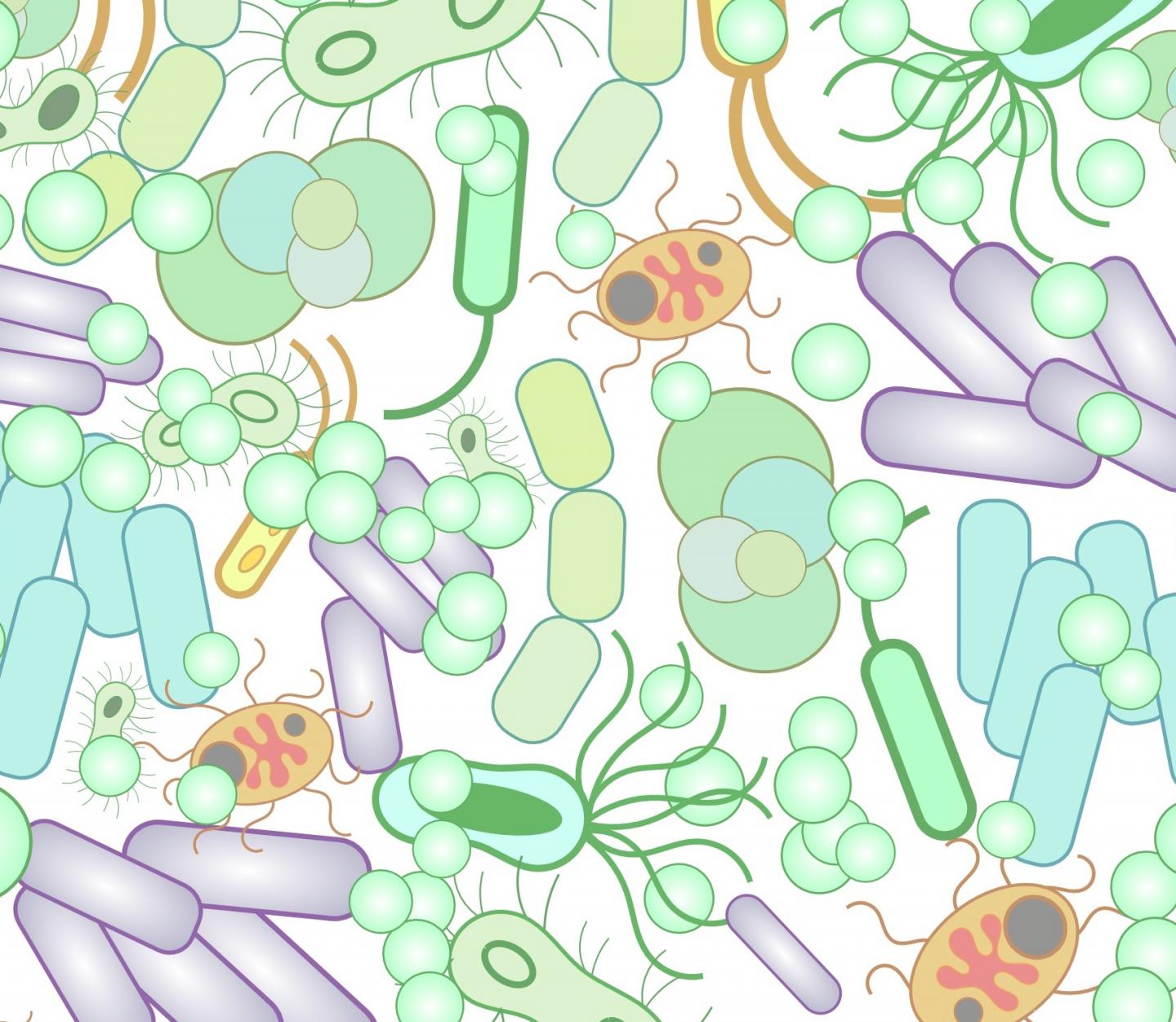 Микробиомная технология с селеном. Микробиом. Микробиом это в микробиологии. Микробиом человека. Разнообразие микробиома.