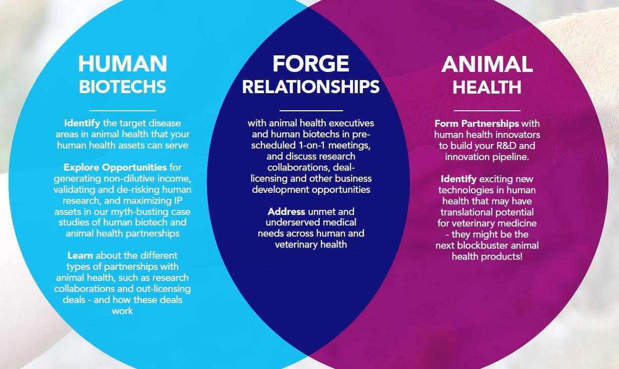 Forge relationships; Identify exciting new technologies; Learn about the different types of patnerships available to you